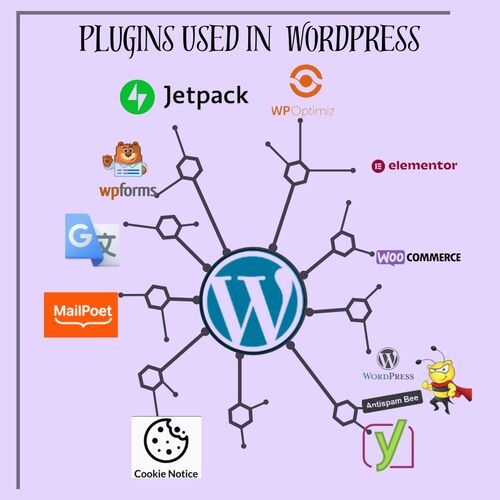 Important plugins used in wordpress.